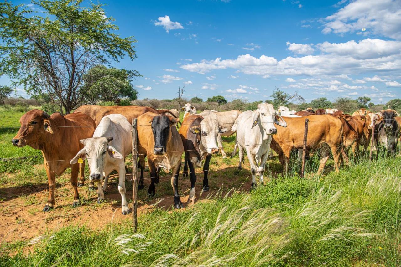 Farmstay Okakeua Okahandja Luaran gambar
