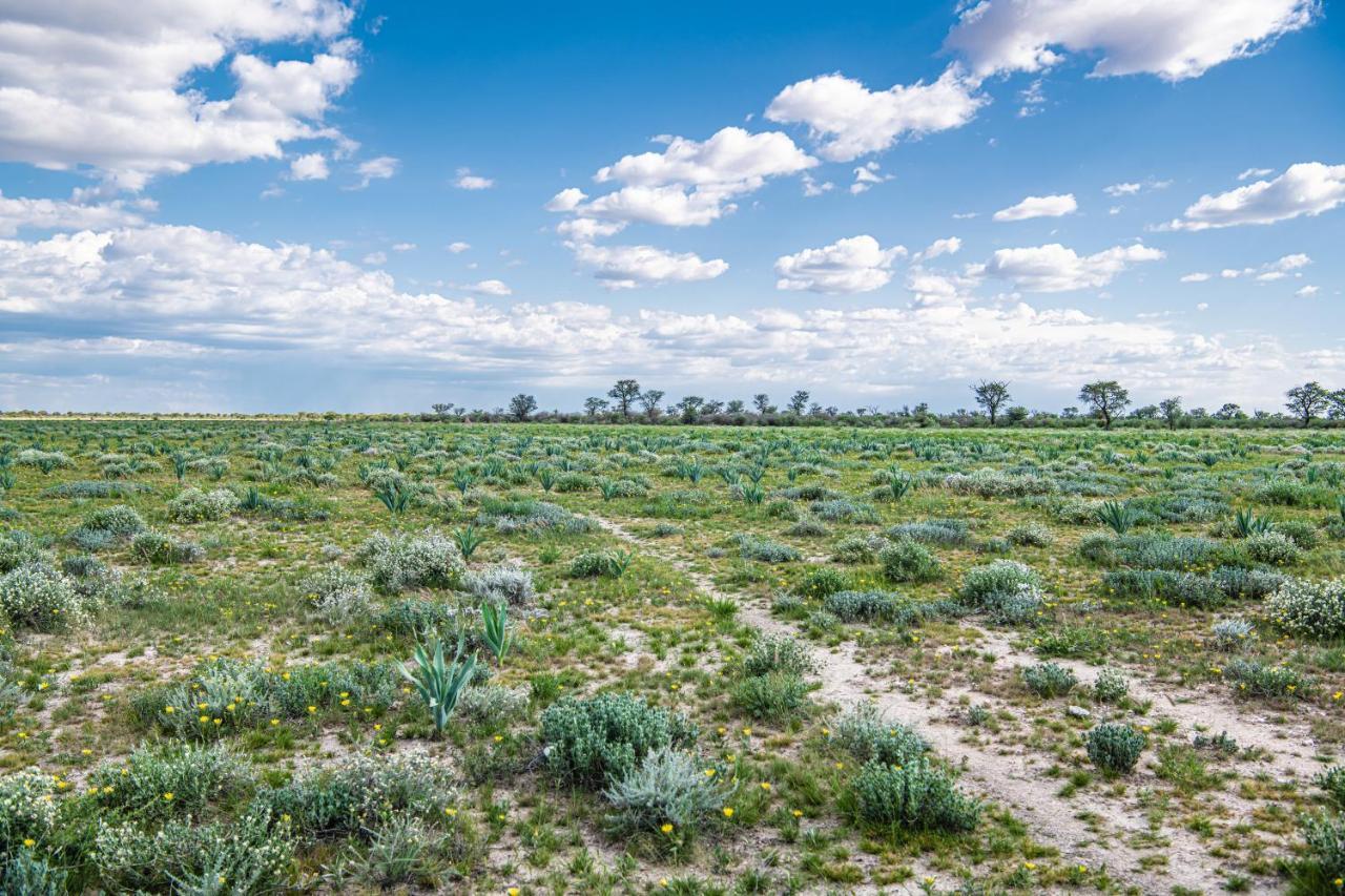 Farmstay Okakeua Okahandja Luaran gambar